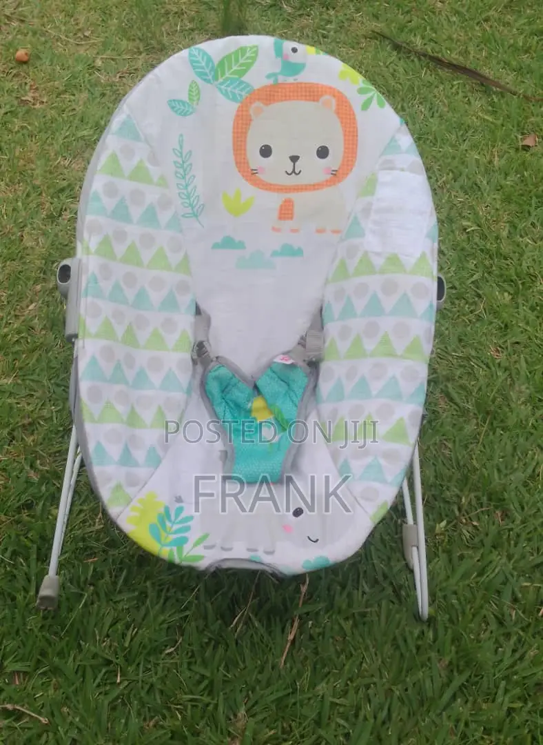 American Baby Bouncer