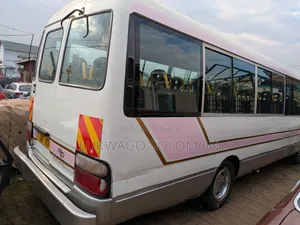 Toyota Coaster 2003 Brown