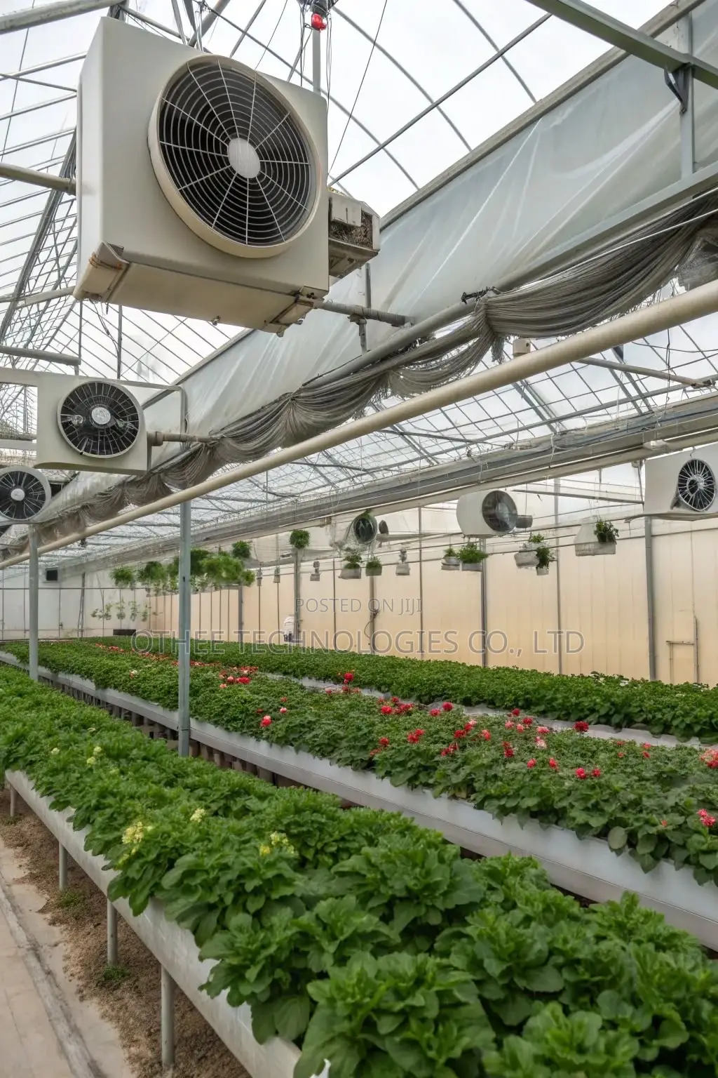 Smart Greenhouse Solutions