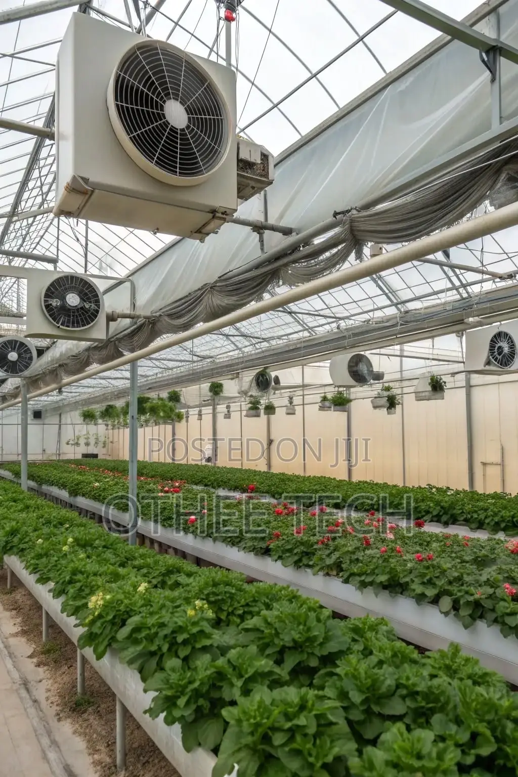 Smart Greenhouse Solutions
