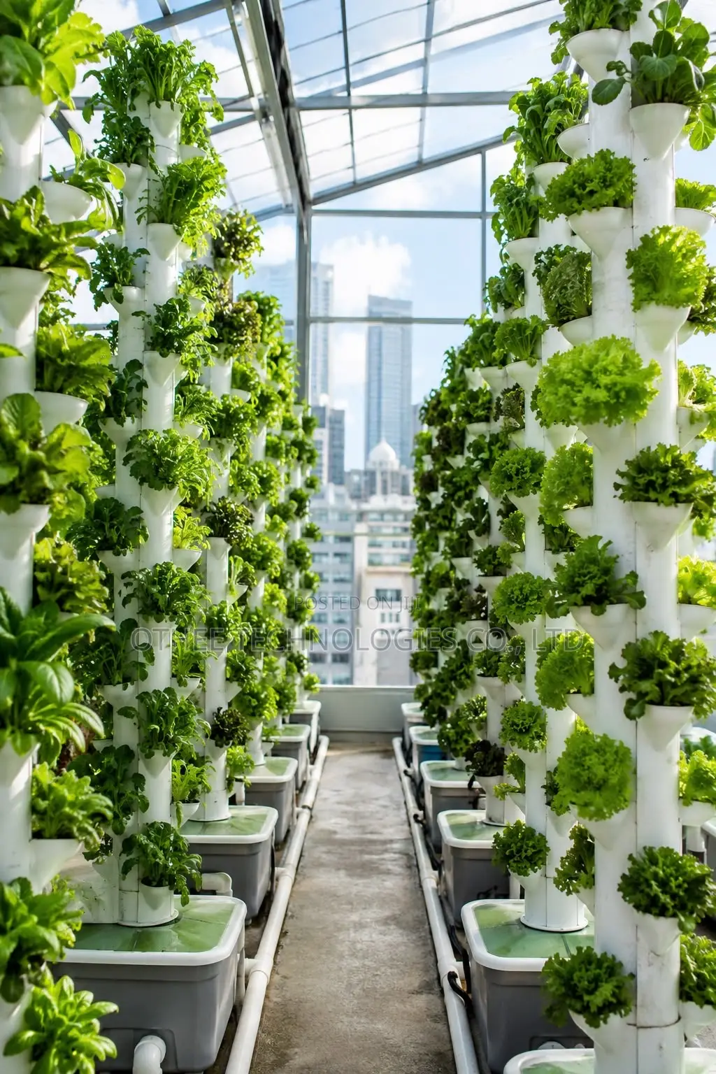 Hydroponic Farming Systems