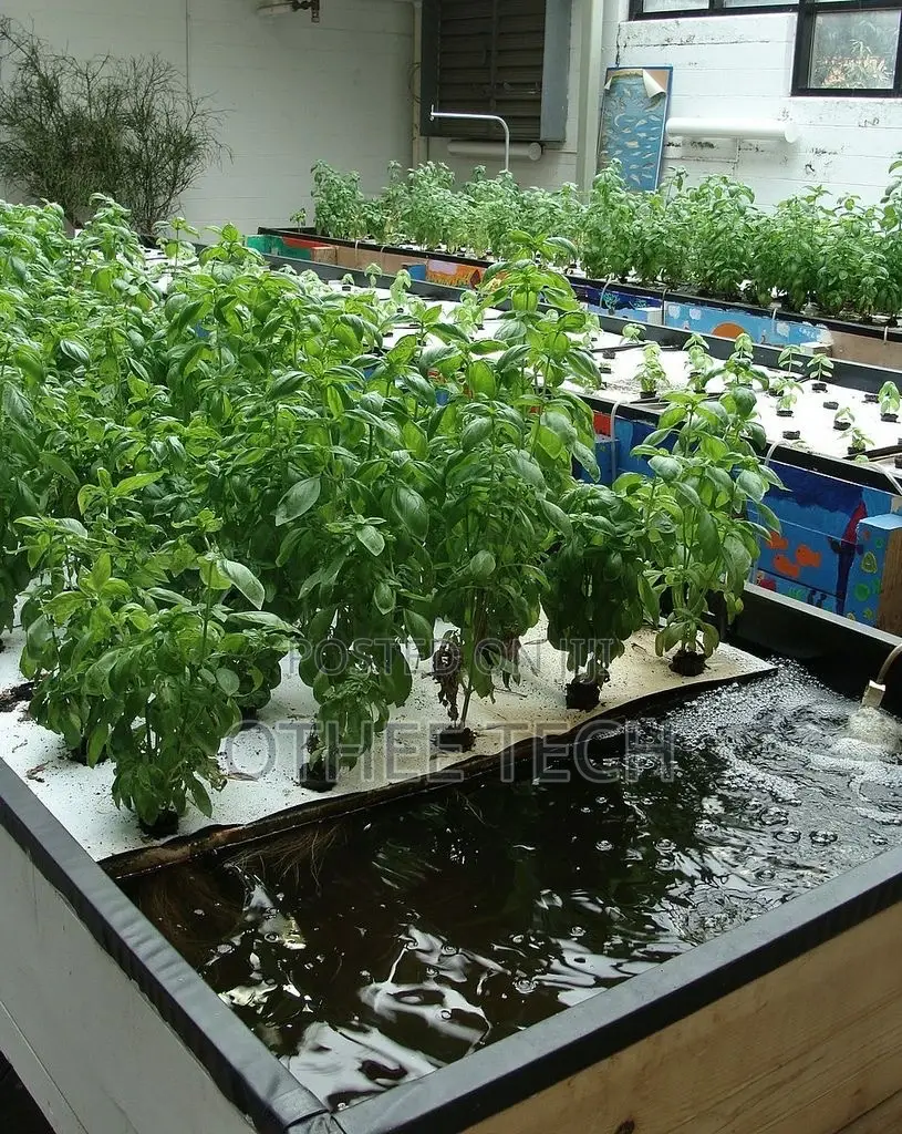 Aquaponic Farming Systems