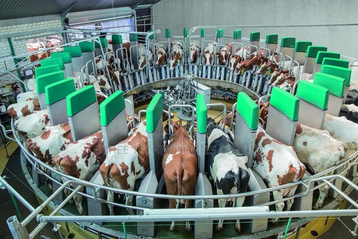 Smart Livestock Management