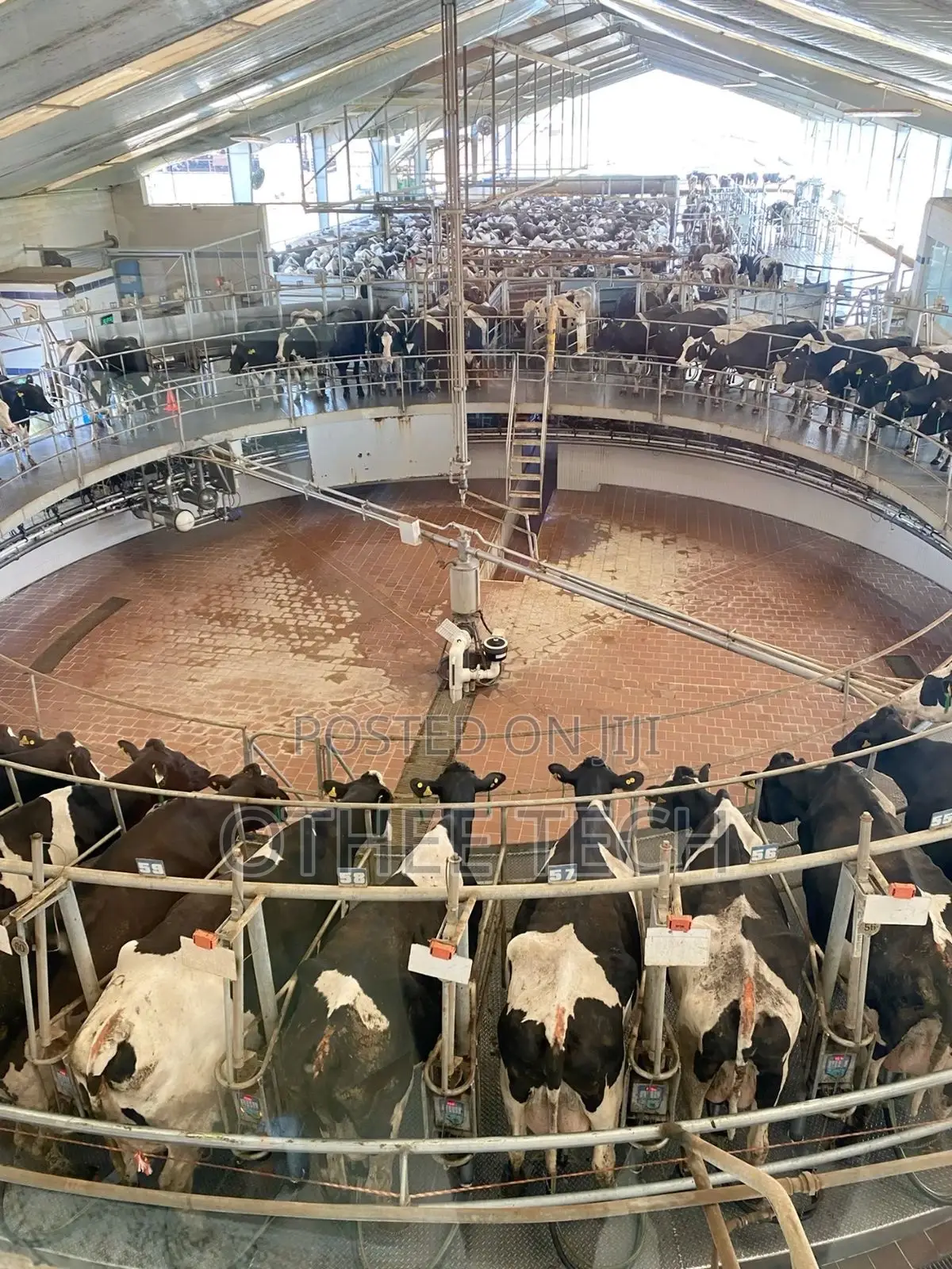Smart Livestock Management