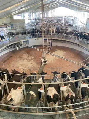 Smart Livestock Management