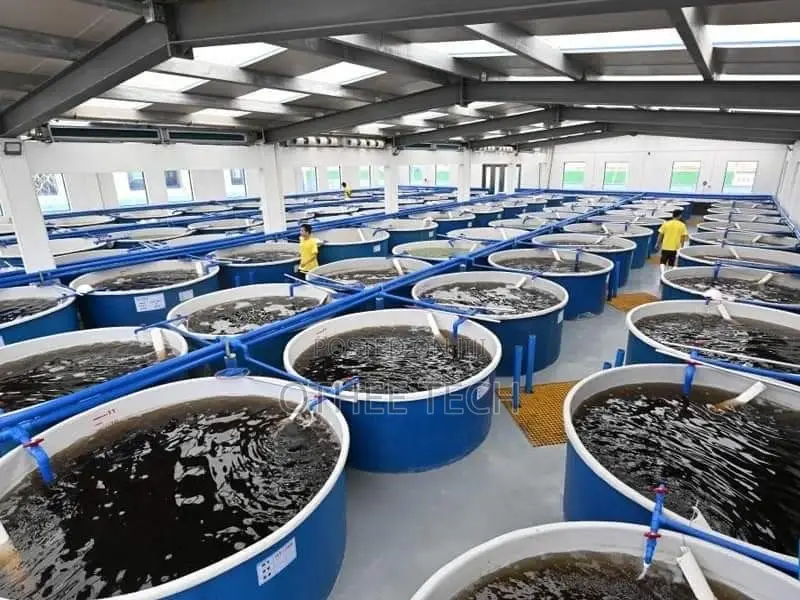Smart Fish Farming