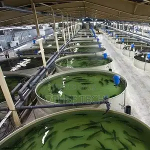 Smart Fish Farming