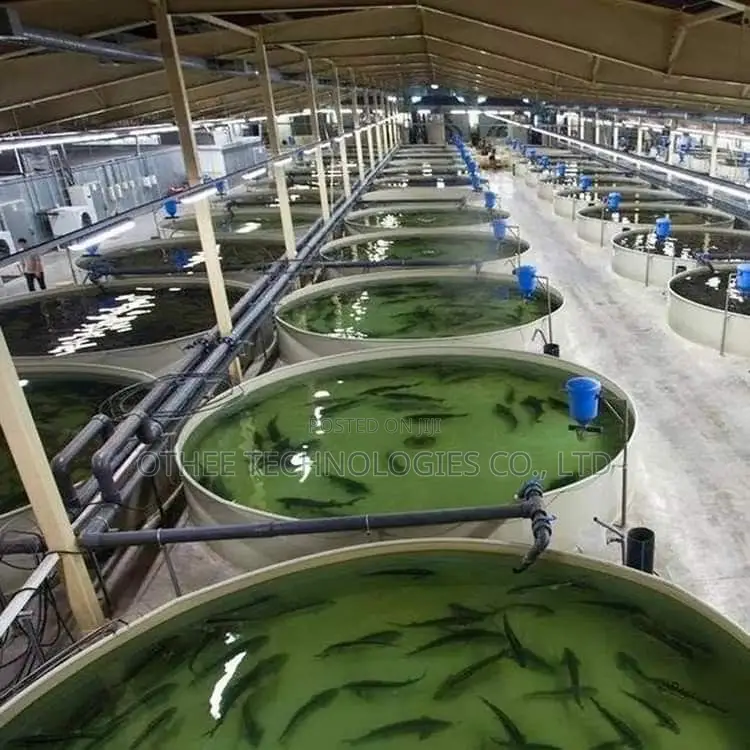 Smart Fish Farming