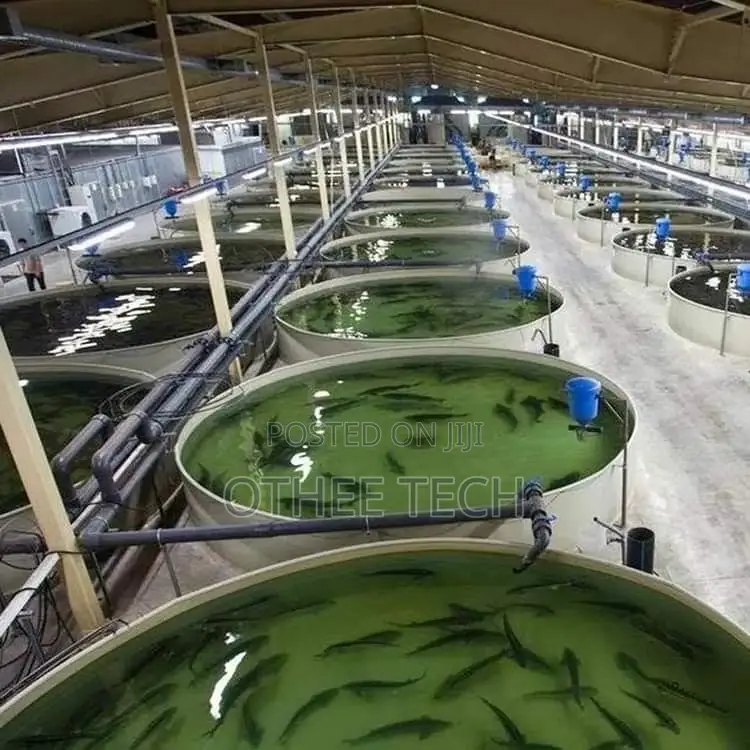 Smart Fish Farming