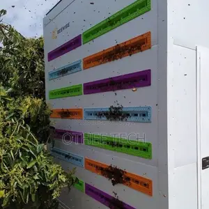 Apiary Monitoring