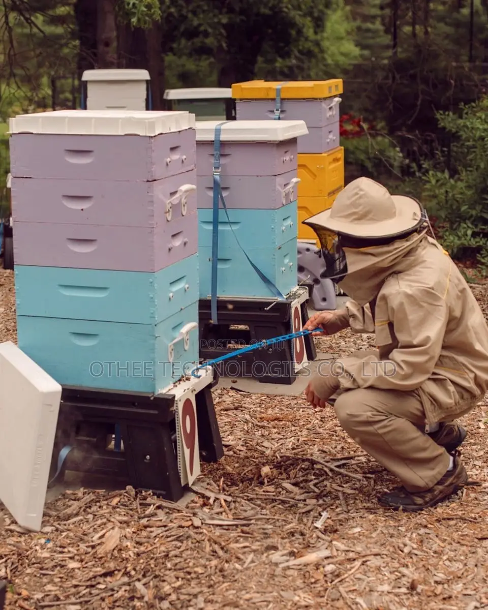 Apiary Monitoring