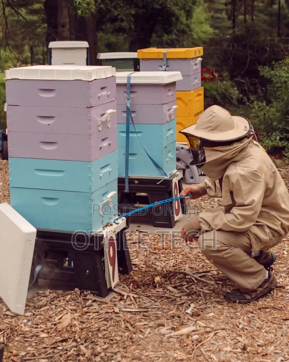 Apiary Monitoring