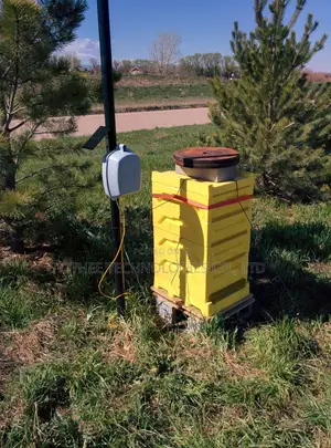 Apiary Monitoring