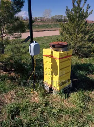 Apiary Monitoring