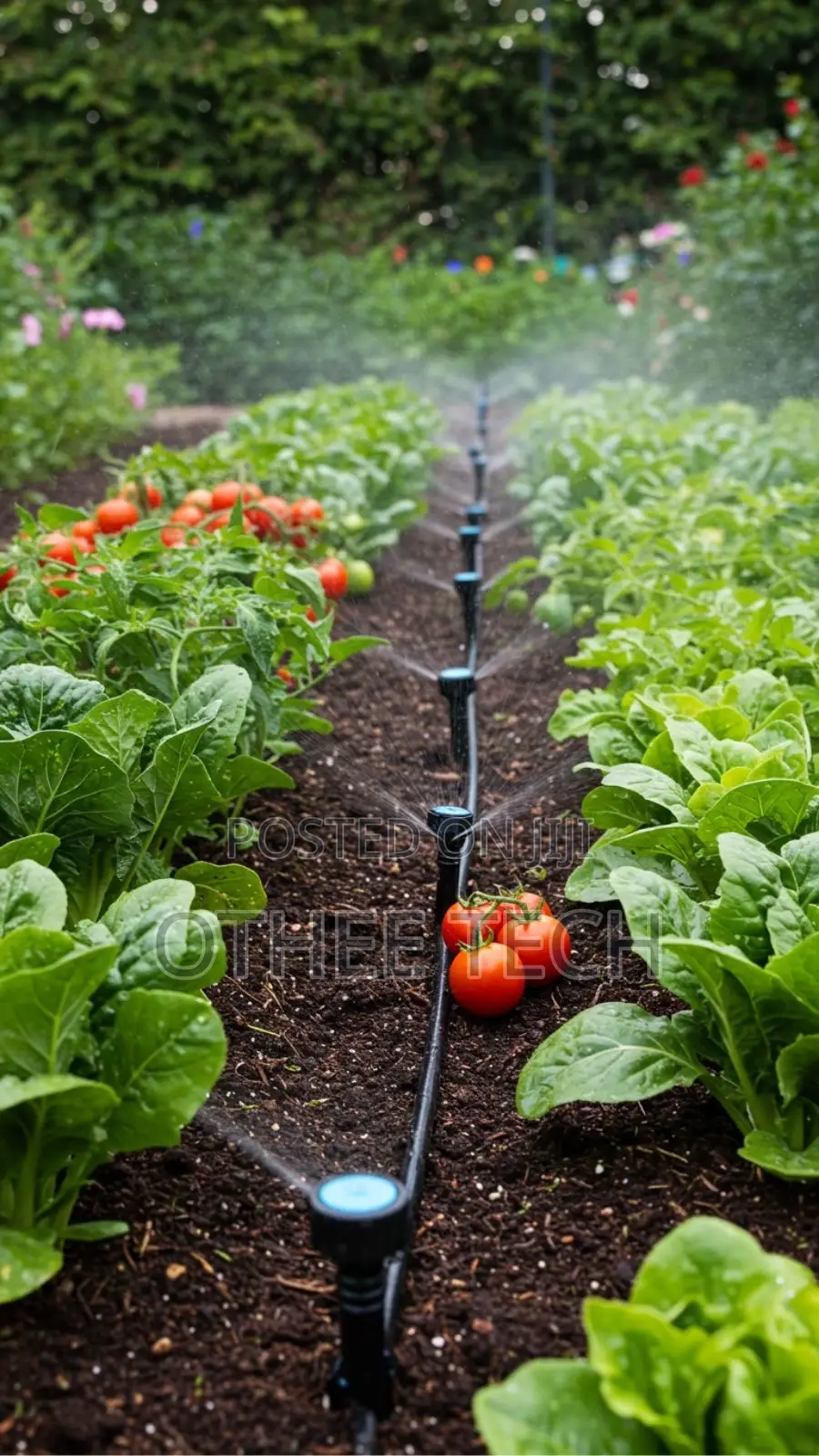 Intelligent Irrigation Systems