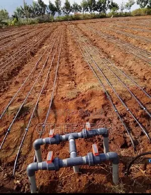 Intelligent Irrigation Systems
