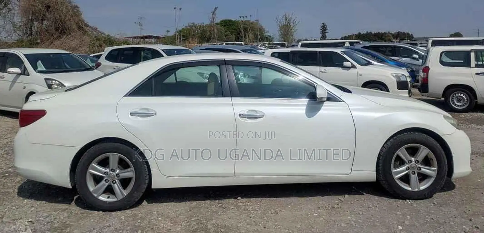 Toyota Mark X 2011 Pearl