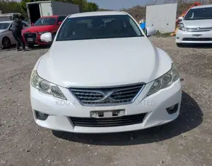 Toyota Mark X 2011 Pearl
