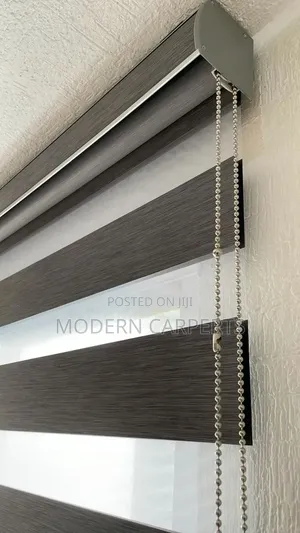Modernic Executive Zebra Blinds