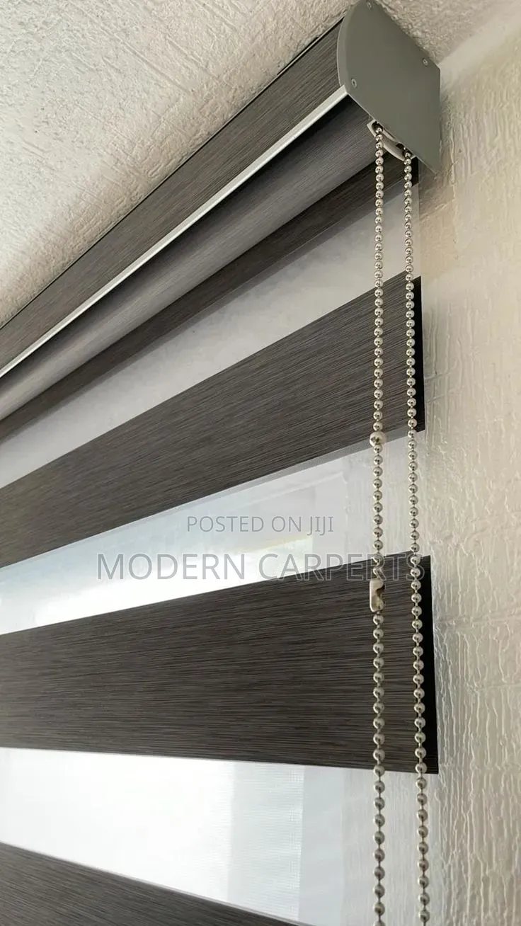 Modernic Executive Zebra Blinds