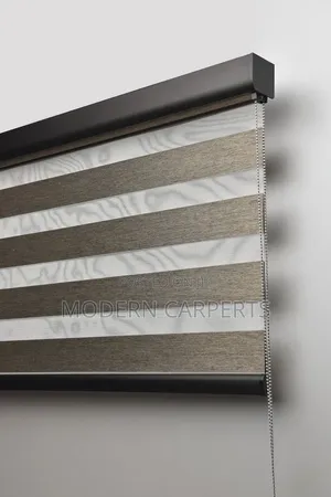Modernic Executive Zebra Blinds