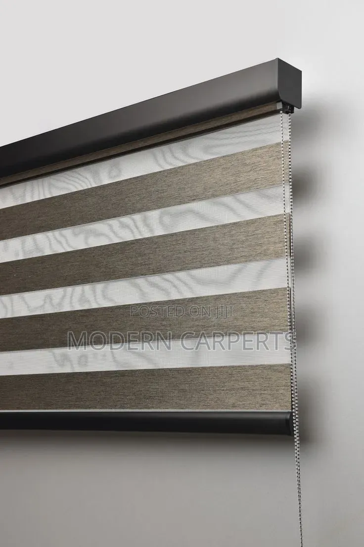 Modernic Executive Zebra Blinds
