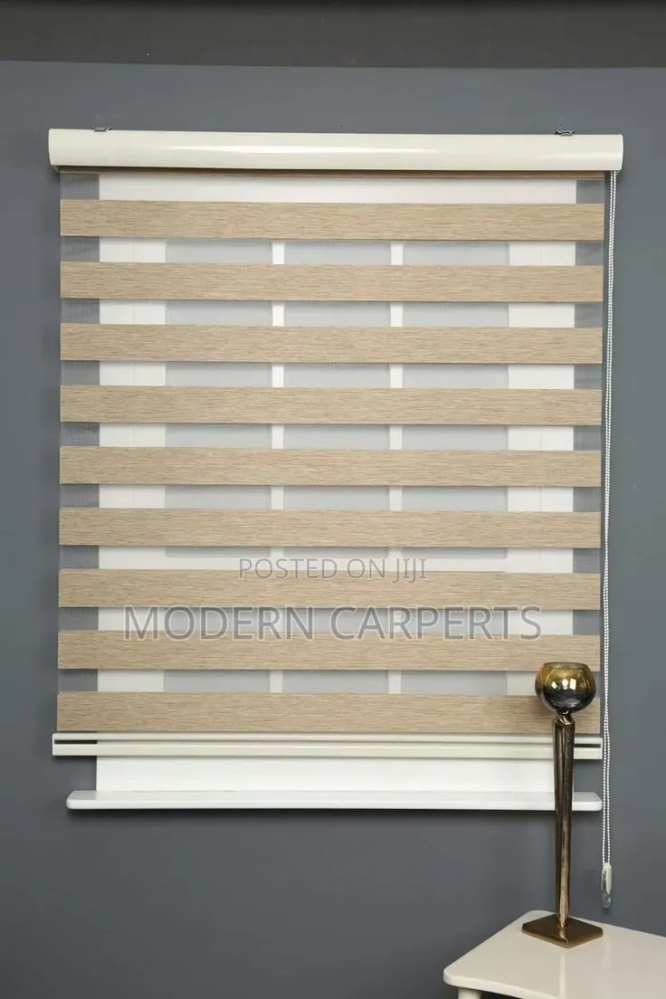 Solic Executive Zebra Blinds