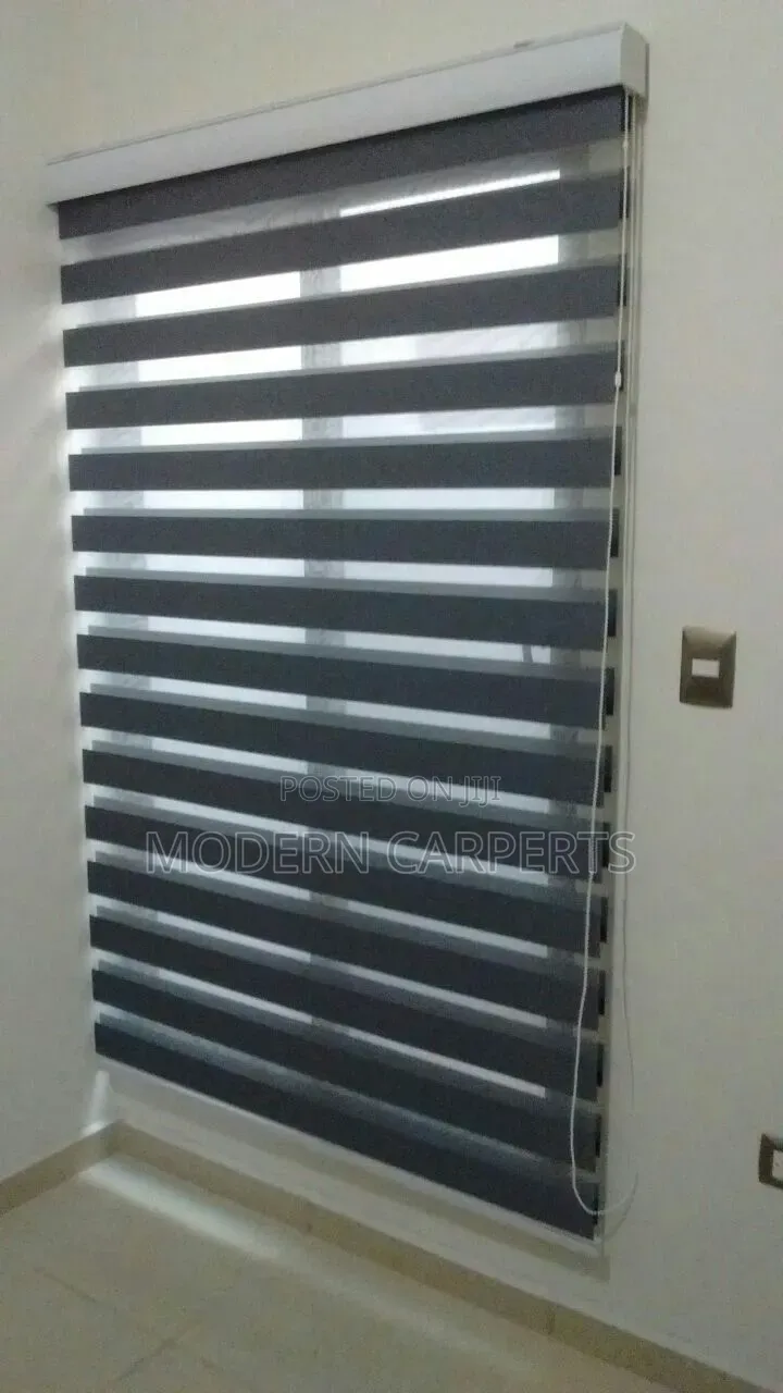 Solic Executive Zebra Blinds