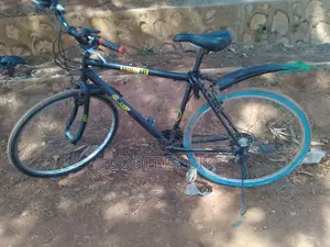 Godfrey's Bike
