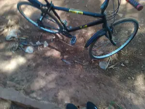 Godfrey's Bike