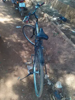 Godfrey's Bike