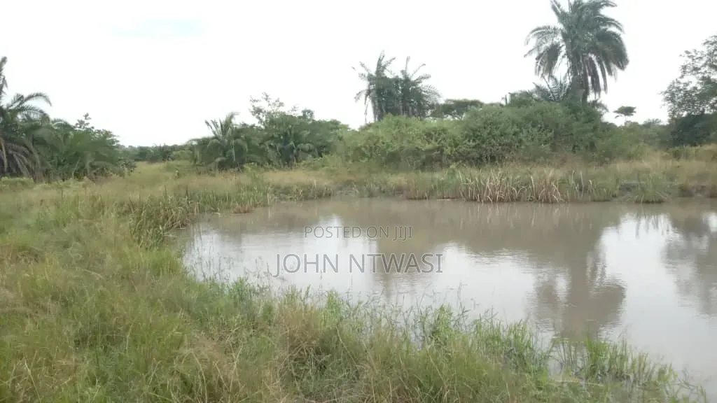 Farm on Sale Contained With 100 Cows, 60 Goats and 20 Sheep