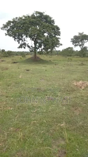 Farm on Sale Contained With 100 Cows, 60 Goats and 20 Sheep