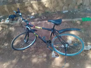 Godfrey's Bike