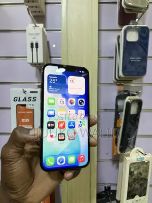 Apple iPhone 13 Pro 256 GB Gray