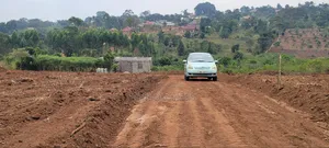 Kakiri Nakyerongosa