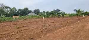 Kakiri Nakyerongosa