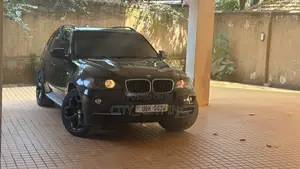 BMW X5 xDrive30i AWD (3.0L 6cyl 6A) 2010 Green
