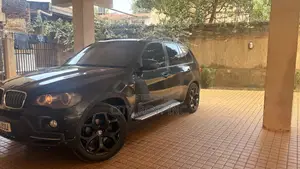 BMW X5 xDrive30i AWD (3.0L 6cyl 6A) 2010 Green