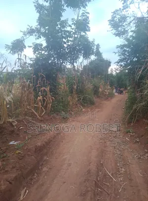 Lands Plot in Masuliita Wakiso for Sale