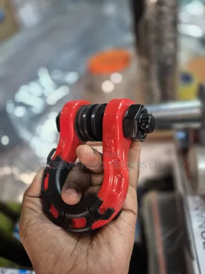 Car Hooks(Pair)