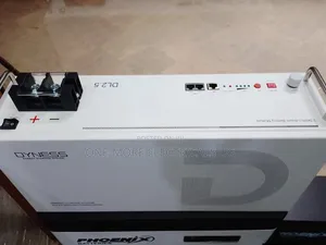 Dyness Lithium Iron Phosphate Battery 2.5kwh/24volts