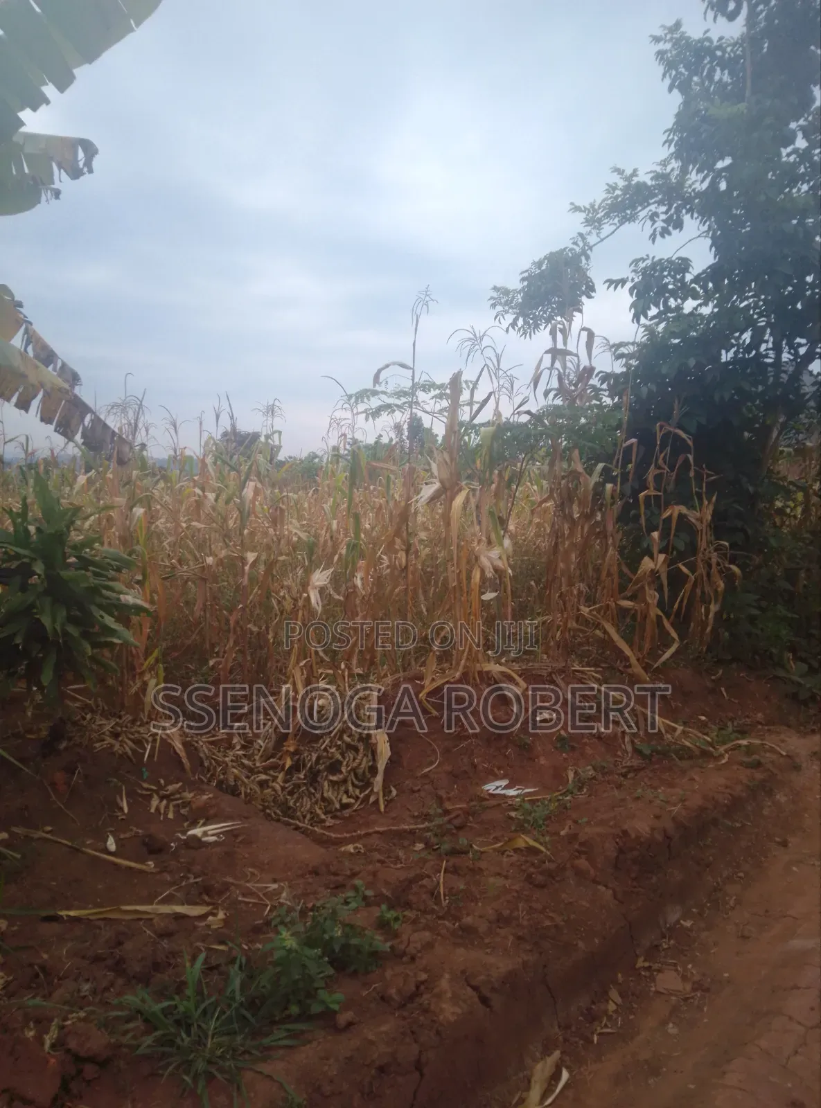 Plot in Masuliita Wakiso for Sale Near