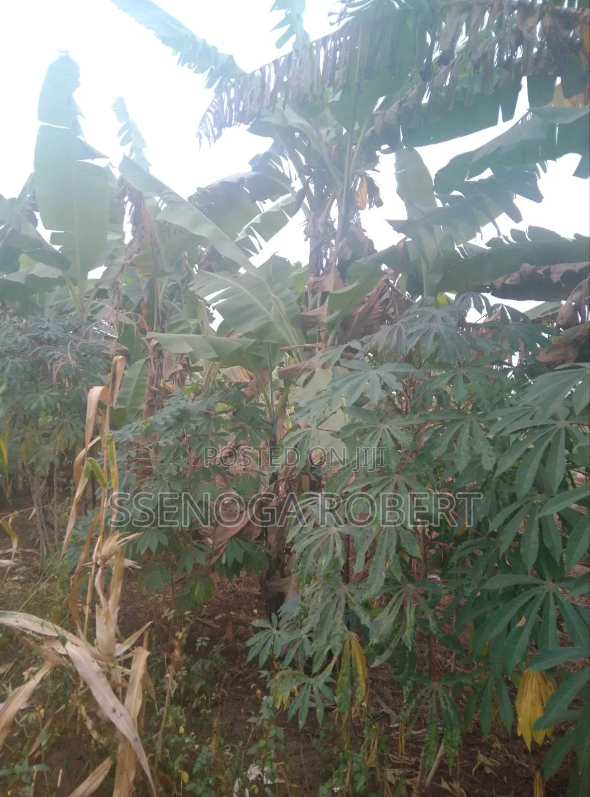 Plot in Masuliita Wakiso for Sale Near