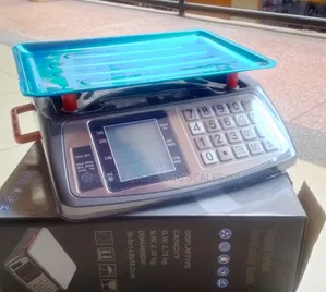 40kg Weigh Electronic Kitchen Weigh Scale Restaurant Weighing Scale