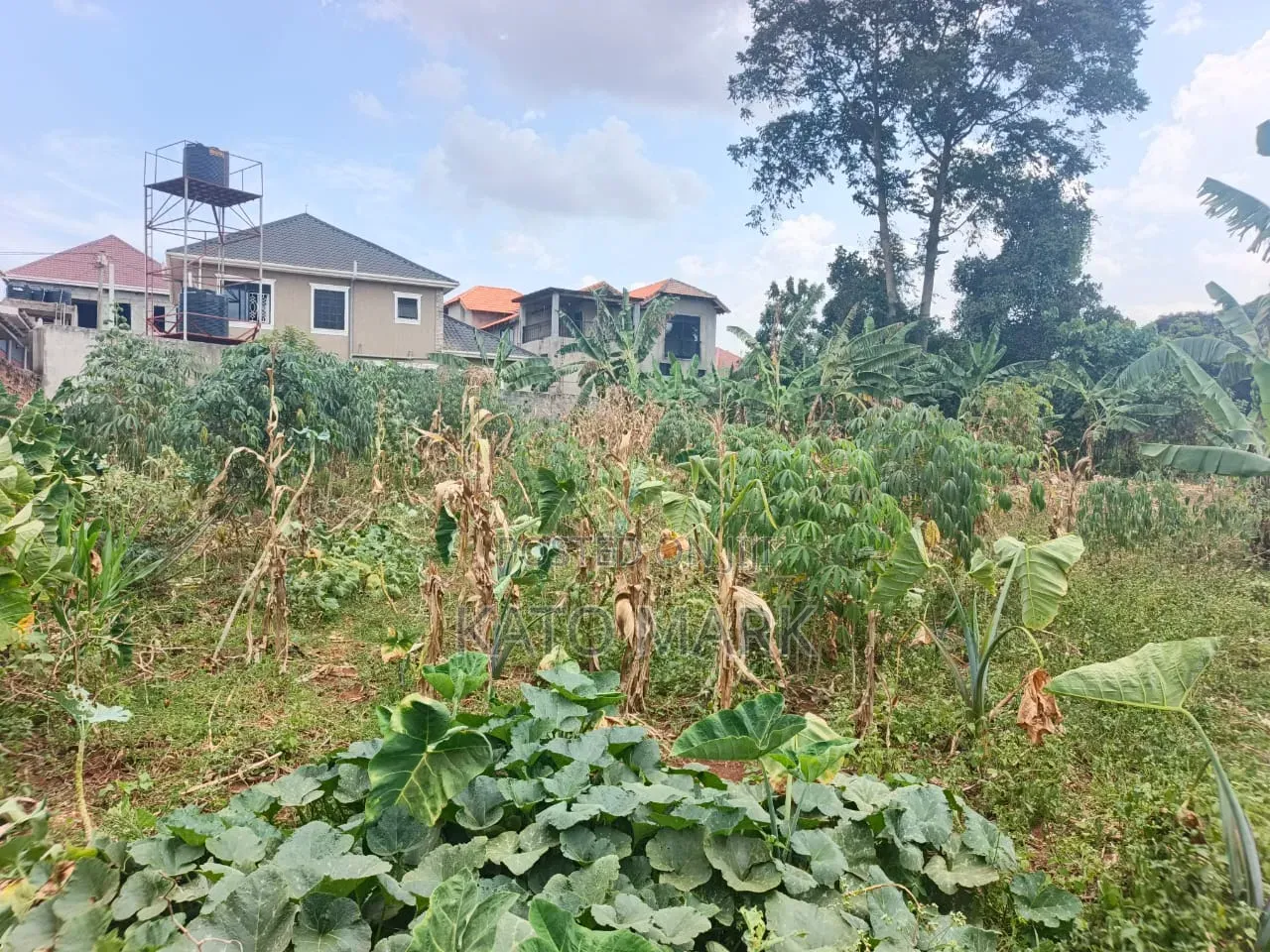 2 Prime Plots for Sale at Namugongo_joggo