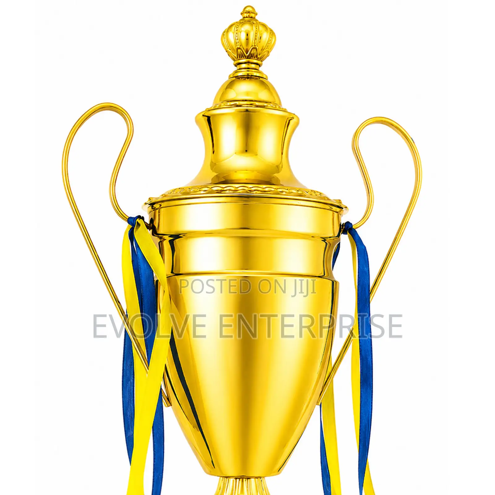 Sports Award Cup