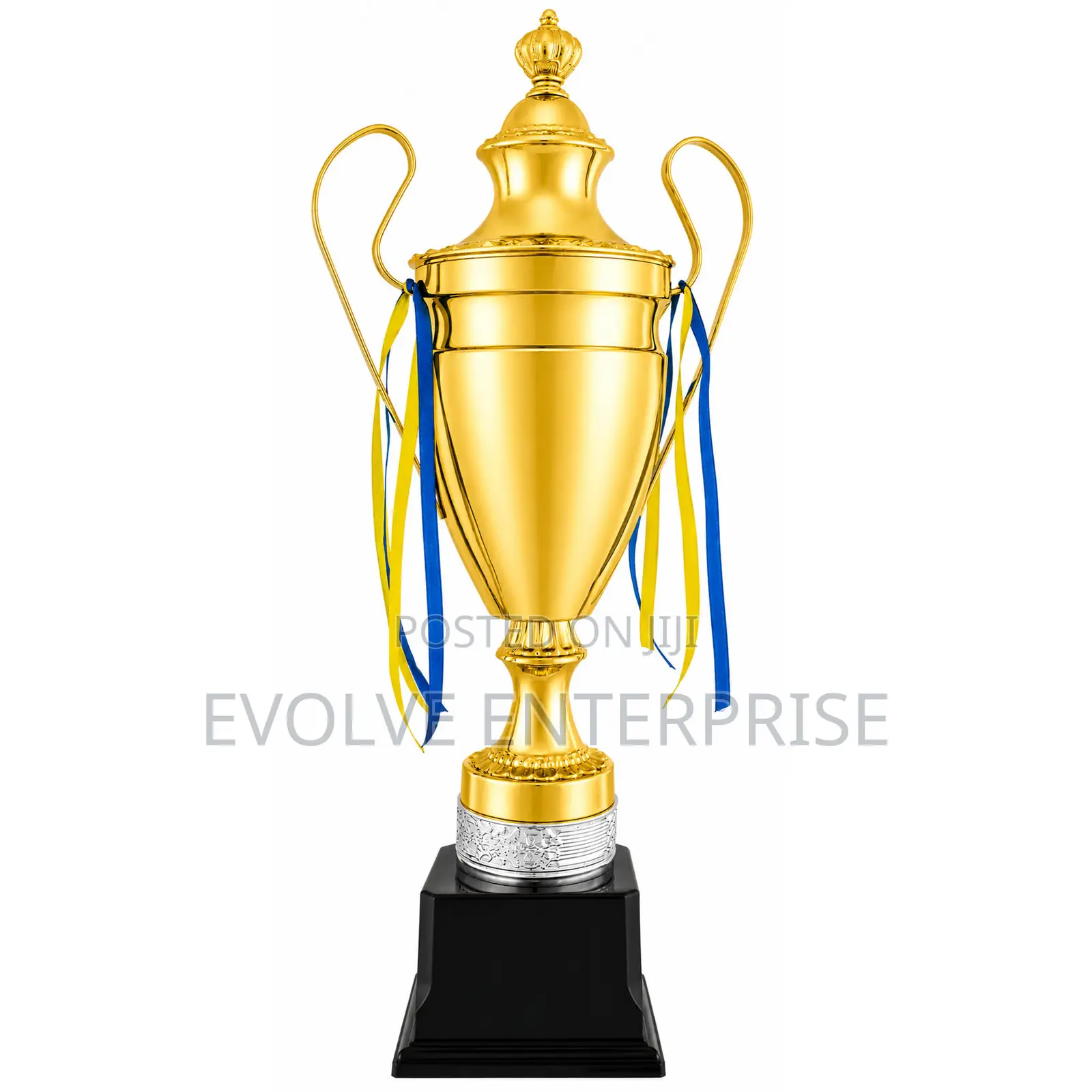 Sports Award Cup