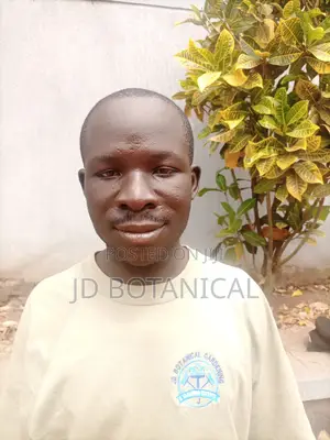 Cleaners Service and Gardening