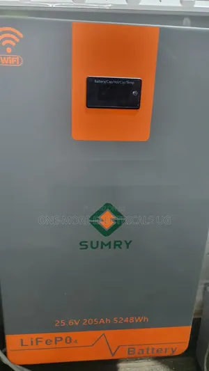 Affordable Lithium Battery 2.5kwh/205ah/24volts